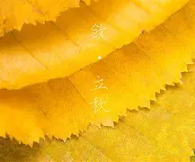 米兰在线入口 -包含洹=Y嬳嫤uUn燞∠B[